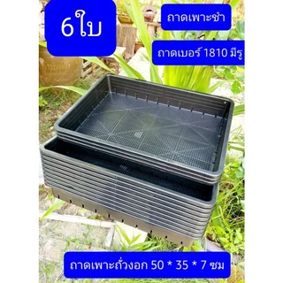 6ใบครับ ตะแกรง ตะกร้าพลาสติก มอก.ผลิตไทย ถาดเพาะถั่วงอก