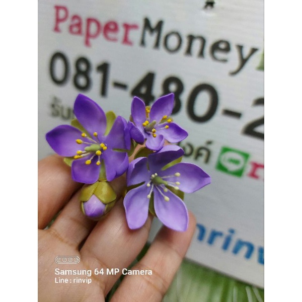ช่อดอกแก้วเจ้าจอม ทำจากดินไทย จอนหู ปัก ผม 1ช่อ ราคา 89 บ.