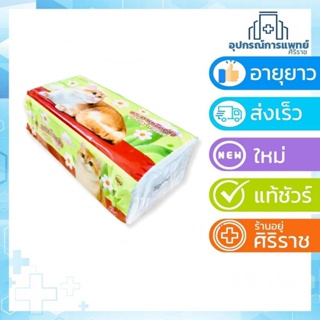 SEKURE FACIAL TISSUE กระดาษทิชชู่ กระดาษเช็ดหน้า ซีเคียว รุ่น SOFT PACK ลายน้องเหมียวมาใหม่