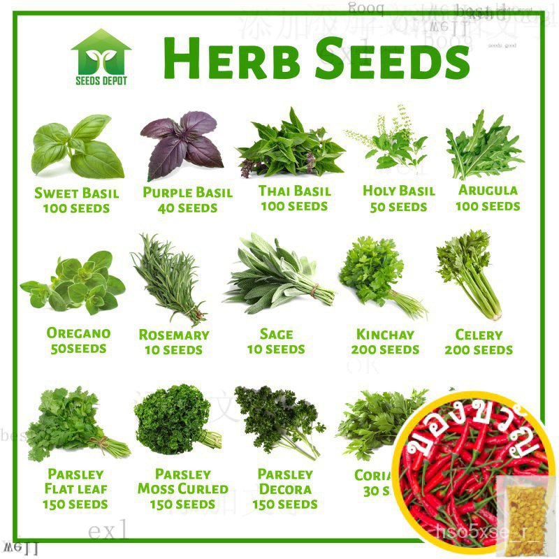 Jincha Lemon Paste Seed/ ดอกไม้/สว/ สว/ ดอกทานตะวัน/ดอกไม้/สัตว์ใหญ่/ดอกไม้/พรมเช็ดเท้า XH6B