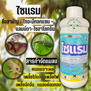 ไทอะมีทอกแซม+แลมบ์ดา-ไซฮาโลทริน (ไซเเรม ขนาด 1 ลิตร) ป้องกันกำจัด หนอนเจาะดอก หนอนเจาะผล เพลี้ยไก่แจ้ เพลี้ยจักจั่น