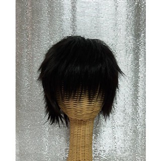 วิกผมสั้นคอสเพลย์ Short Wig Cosplay (Type 1)