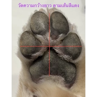 สติ๊กเกอร์ สำหรับแปะ เท้าสุนัข กันลื่น สำหรับเดินในบ้าน (1 ชุดมี 4 ชิ้น + แถมแผ่นแอลกอฮอล์สำหรับเช็ดอุ้งเท้า)