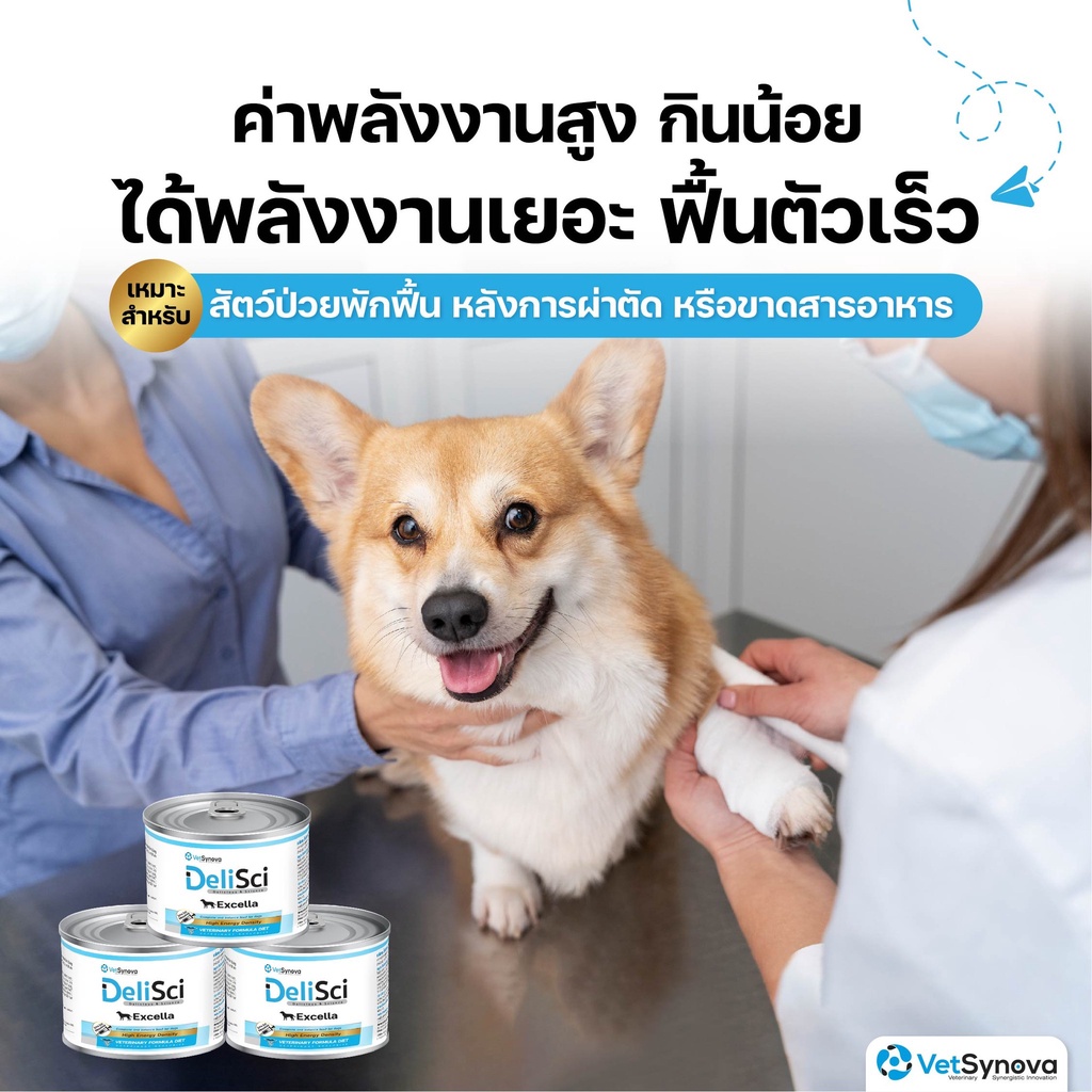 DeliSci Excella Excellent for recovery อาหารฟื้นฟูสําหรับสัตว์ป่วย ขาดสารอาหาร และพักฟื้นหลังการผ่าตัด สูตรไก่และสูตรปลา