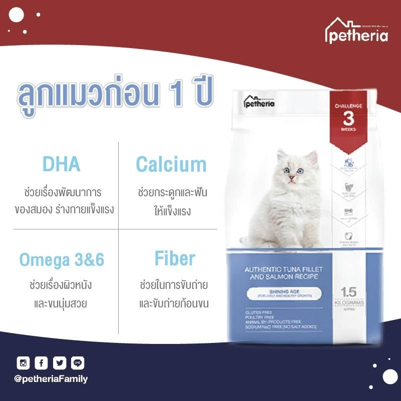 petheria Innovation Cat Food 1.5 kg [SHINING AGE] [No Corn &amp; Gluten Free] [ลูกแมวหย่านม]