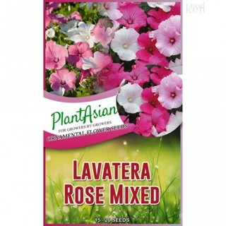 Lavatera Rose Mallow Flowers Seeds/Mixed seeds/กางเกง/ ก้าก/ดอกไม้/ของเล่น/มะเขือเทศ/ดอกไม้/เสื้อ/ ดอกลำโพง ทานตะวัน/ ZH