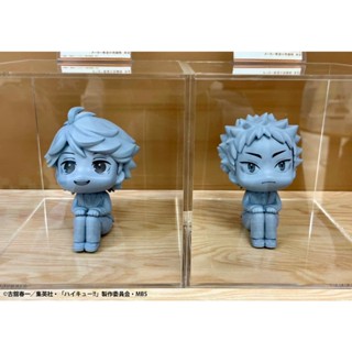 Pre-Order Lookup Oikawa Tooru &amp; Iwaizumi Hajime - Haikyu