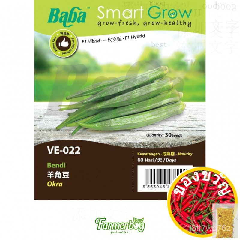 เมล็ดพืชผัก Baba VE-022 okra okra SEED มะละกอ/เสื้อ/ โปโล/แอปเปิ้ล/กุหลาบ/ดอกไม้/ เครื่องต๊าปเกลียว/มักกะโรนี/ ไม้จิ้มฟั