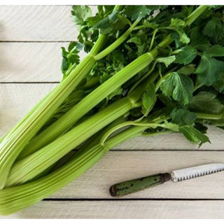 เมล็ดพันธุ์เซเลอรี่ ทอล ยูท่าห์ Tall Utah Giant Celery Seed บรรจุ 200 เมล็ด ของแท้ คุณภาพดี ราคาถูก นำเข้าจากต่างประเทศ