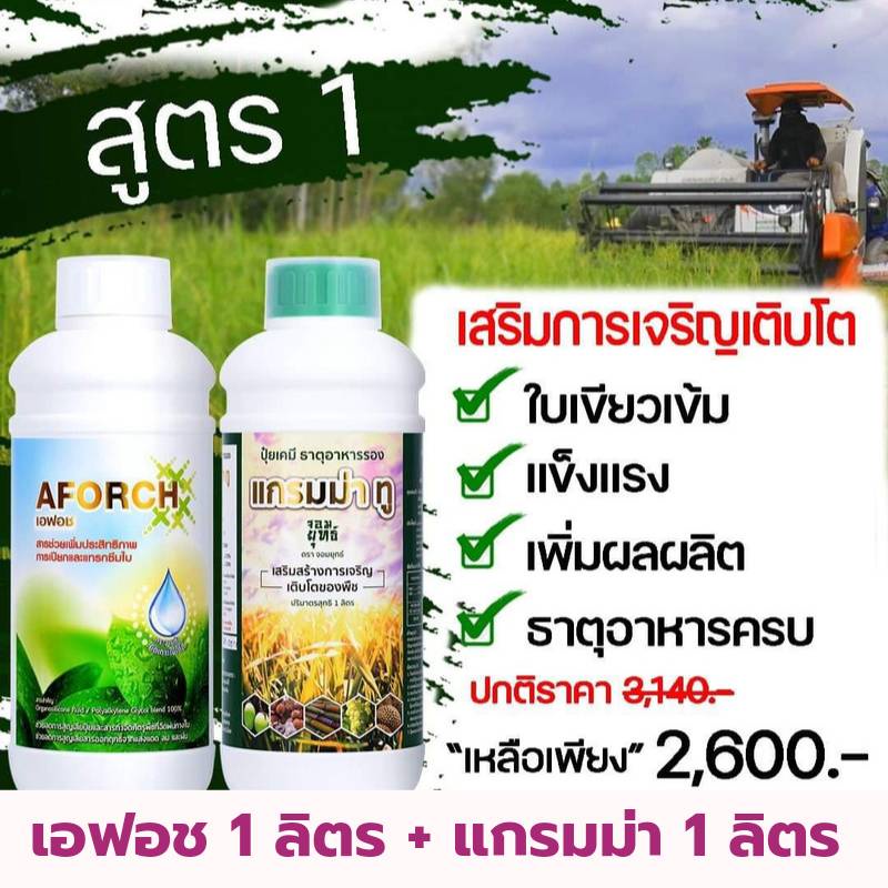 สารจับใบ เอฟอช 1 ลิตร + ปุ๋ยน้ำ แกรมม่าทู 1 ลิตร เร่งแทรกซึมใบ+ปุ๋ยน้ำ ต้นแข็งแรง ใบเขียวเข้ม แตกยอดอ่อนดี