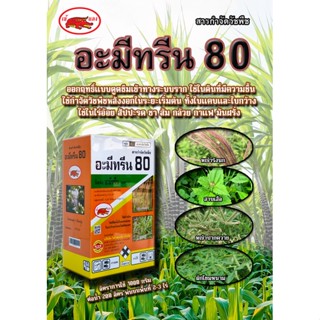 อามีทรีน80WP(ส้ม) กำจัดวัชพืชหลังงอกได้หลากหลาย ทำลายถึงระบบราก