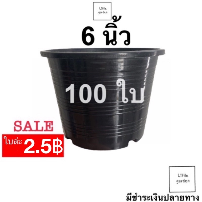 Little กระถางต้นไม้ 6 นิ้ว 100 ใบ (ดำเงาA+ )