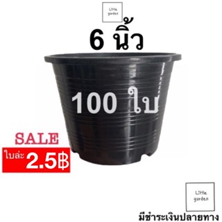 Little กระถางต้นไม้ 6 นิ้ว 100 ใบ (ดำเงาA+🖤)