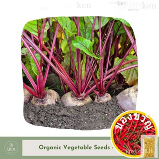 [∮] Beetle Seed-Organic Vegetable Seed Rose/มักกะโรนี/มะละกอ/ดอกไม้/รองเท้า/อัญมณี/กางเกง/ เพิ่ม/หมวก/เสื้อ/ 2HZP