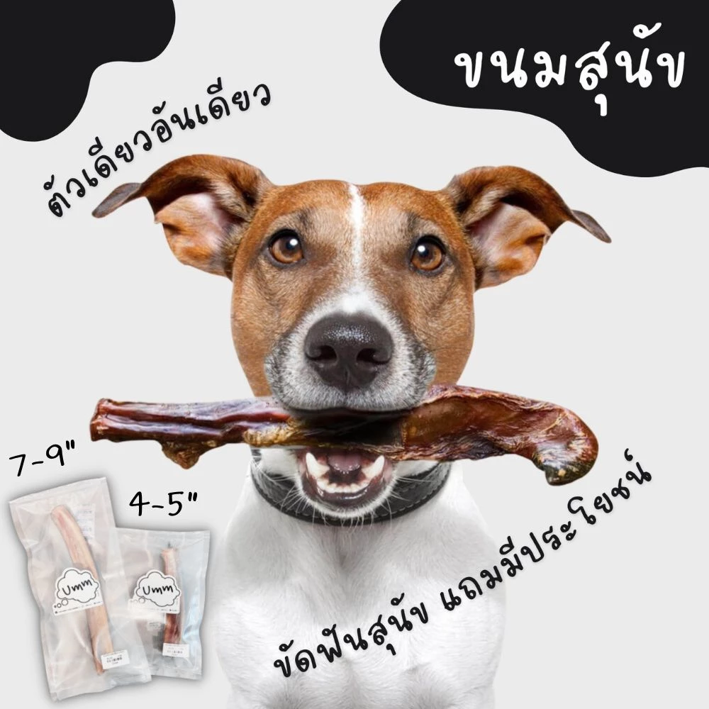 Bully Sticks dog treats ตัวเดียวอันเดียววัวอบแห้ง ขัดฟันน้องหมา ยอดฮิต ทั่วโลก umm ขนมหมา