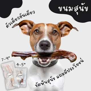 Bully Sticks dog treats ตัวเดียวอันเดียววัวอบแห้ง ขัดฟันน้องหมา ยอดฮิต ทั่วโลก umm ขนมหมา