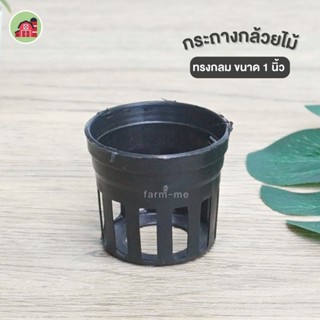 กระถาง กระถางกล้วยไม้ กระถางพลาสติกกลม1นิ้ว (50ใบ)