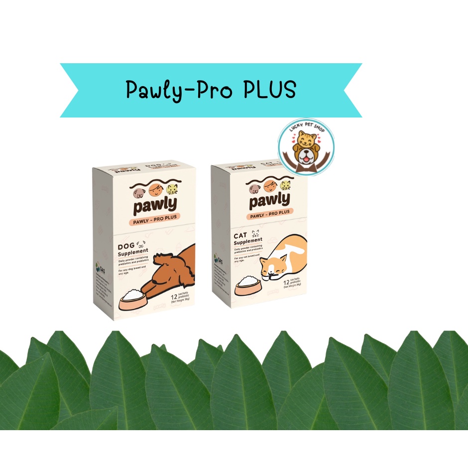 Pawly Pro Plus อาหารเสริม Synbiotic (Probiotic+Prebiotic)