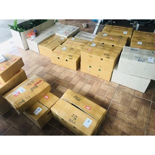 ต้นมะสัง นิยมทำไม้ดัด 10 เซน เสียหายเคลมฟรี