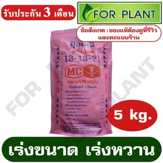 ปุ๋ย สูตร 13-13-21 ตราหัววัว (สินค้าตรงปก) บรรจุ 5 กิโลกรัม ปุ๋ย เร่งขนาด เร่งผล เร่งหวาน ใส่ผัก ผลไม้ ปุ๋ยไม้ดอกไม้ประด