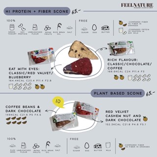 FEELNATURE: Hi protein/Fiber/Plant-based Scone