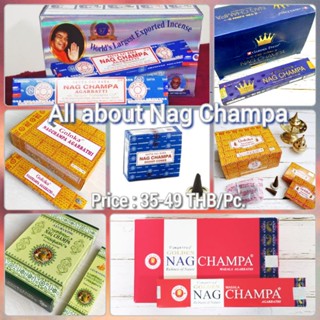 ✨🎉 NY23 Promo! All About NAG CHAMPA INCENSE รวม ธูปกำยานนาคจำปา Satya Nag Champa, Goloka, Ayurvedic, Vijaysree