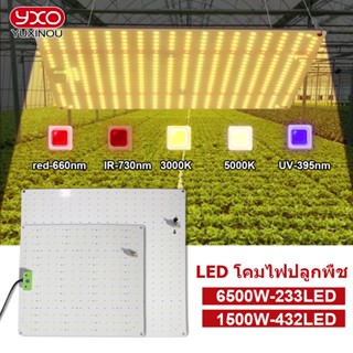 Yxo โคมไฟปลูกต้นไม้ LED 1500W 2500W 3000W สําหรับเรือนกระจก Samsung LM283B