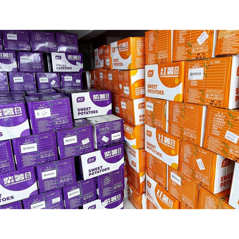 มันหนึบ ผสม มันหนึบสุดฮิต มันหนึบเหลืองเบนฮารุกะ มันม่วงโอกินาว่า มันหนึบญี่ปุ่น 500g SP（Starpie）薯仔 - รูปที่ 5