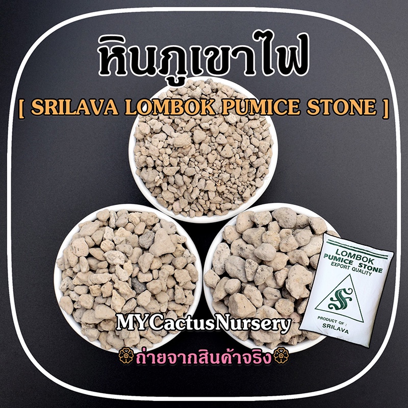 หินภูเขาไฟ ศรีลาวา หินพัมมิส SRILAVA LOMBOK PUMICE STONE สำหรับเป็นวัสดุปลูกต้นไม้ วัสดุกรองตู้ปลา