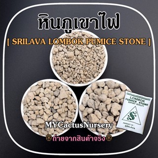 หินภูเขาไฟ ศรีลาวา หินพัมมิส SRILAVA LOMBOK PUMICE STONE สำหรับเป็นวัสดุปลูกต้นไม้ วัสดุกรองตู้ปลา