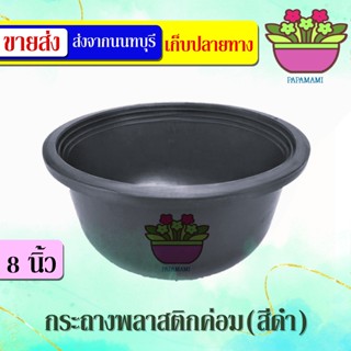 (10ใบ)papamami กระถางพลาสติกดำ 8นิ้ว เตี้ย ค่อม กระถางดำ กระถางราคาถูก กระถางปลูกต้นไม้ กระถางต้นไม้ ที่ปลูกต้นไม้