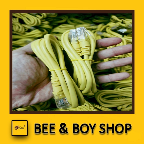 สายแลน cat5e ขนาด 1 เมตร / Cat5e LAN Cable 1 M