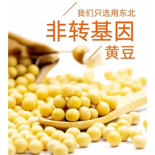 ซอสเต้าเจี้ยวถั่วเหลือง Yes 黄豆酱 ไห่เทียน Haitian 海天 340g MalaMart