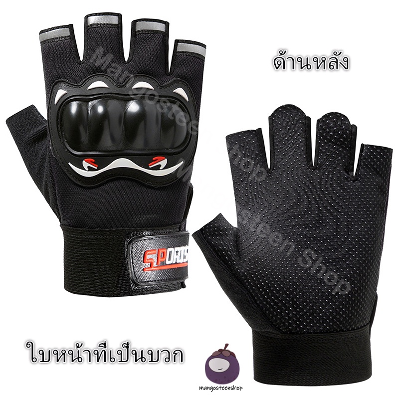 รูปภาพ 3