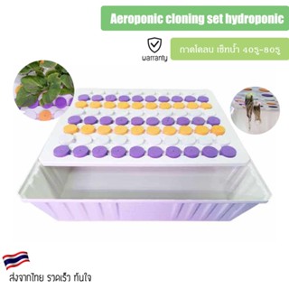 ถาดโคลน เซ็ทน้ำ Aeroponic cloning set hydroponic โคลนง่ายๆด้วย ระบบน้ำ ปักชำน้ำ