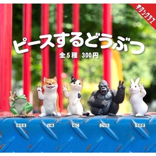 🅟🅕 กาชาปองน้องสัตว์ชูสองนิ้วให้กำลังใจ ชัยชนะ สันติภาพ ✌🏼🐸🐶🐱🐰🐵✌🏼 Peaceful Animals gashapon