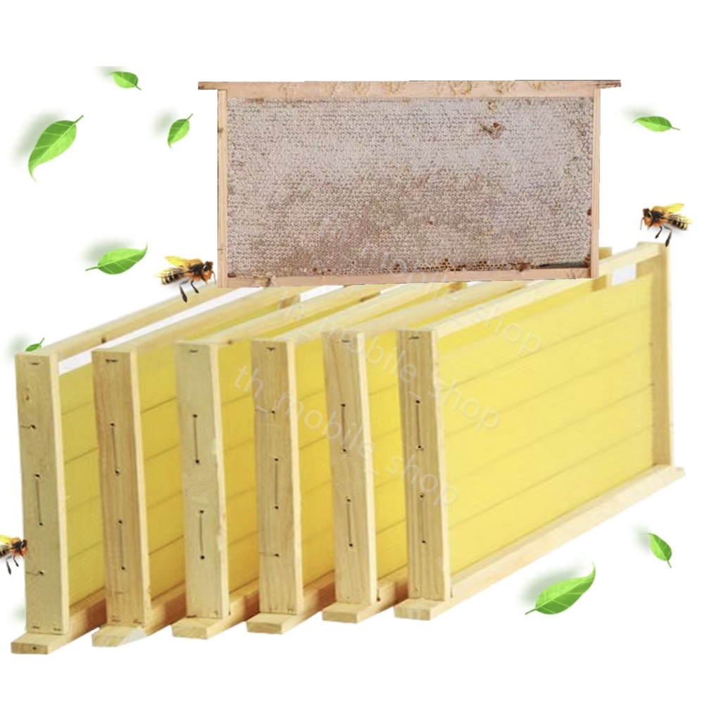 คอนผึ้ง ผลิตภัณฑ์ผึ้งโครงฐานผึ้ง รังผึ้งกล่องผึ้งมาตรฐาน โครงผึ้งเครื่องมือเลี้ยงผึ้ง 1ชุด มี 10ตัว