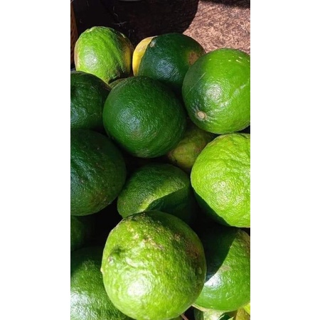 มะนาวพม่า1kilo99บาท.