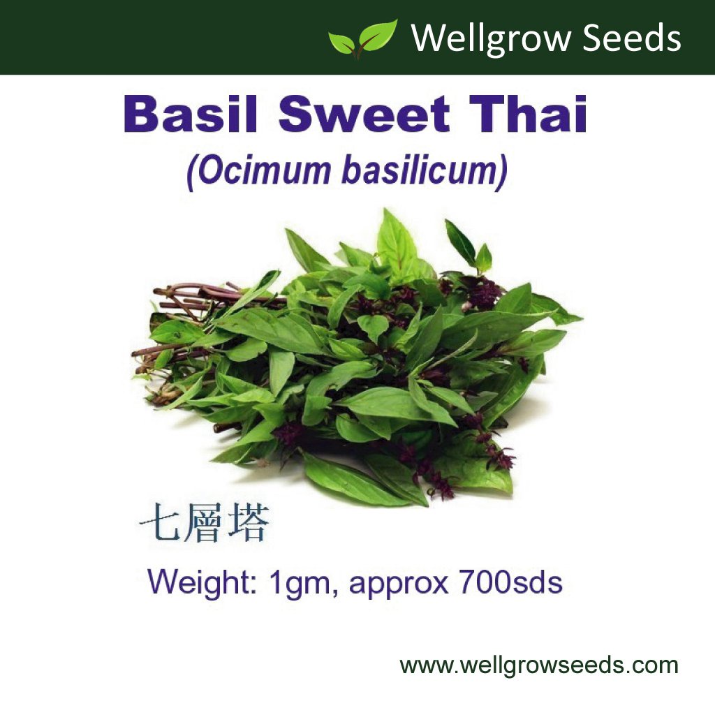 ∮ (1gm ประมาณ700 SDS) 84FW