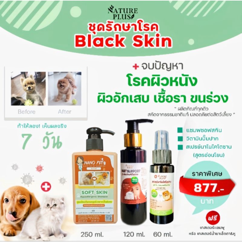 ชุดฟื้นฟูขนและผิวหนัง Black Skin สำหรับสุนัขที่มีปัญหาผิวหนัง และขนหลุดร่วงแบบไร้สาเหตุ