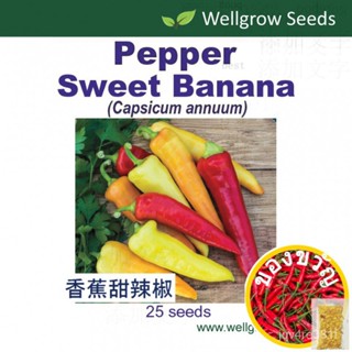 Pepper Sweet Banana (25sds) ☕ เมล็ดพริกเมล็ดพืช wellgrow Fruit/กุหลาบ/ โปโล/ไม้จันทน์ 6Z6N