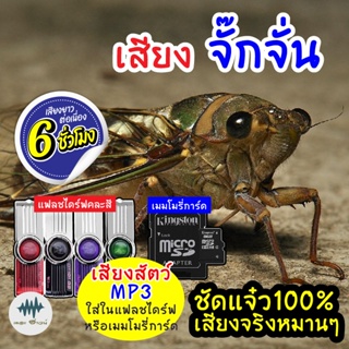 (MP3 เสียงต่อสัตว์) เสียงจั๊กจั่น เรไร [6ชั่วโมง] ใส่แฟลชไดร์ฟ/เมมโมรี่ เก็บเงินปลายทาง เสียงดี ชัด100% ไม่มีโฆษณาแทรก