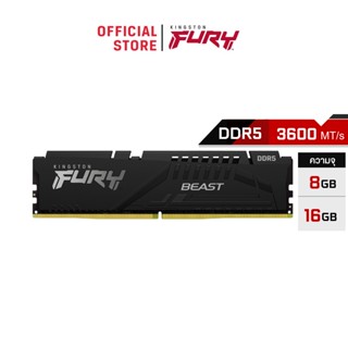 Kingston FURY Beast DDR5 AMD EXPO 5600M/T (เเรมพีซี) (KF556C36BBE)