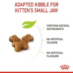 Royal Canin kitten 2kg / 1.2kg สูตร ลูกแมว 2 kg. / 1.2kg โรยัล คานิน ลูกแมว เลือกขนาดในตัวเลือกได้