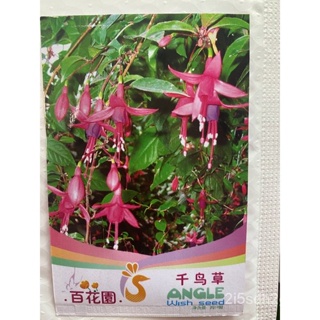 （คุณภาพสูง เมล็ด）เมล็ดพันธุ์ ดอกไม้ ตุ้มหูนางฟ้า , โคมญี่ปุ่น (Fuchsia  hybirds) บรรจุ 20 เมล/ง่าย ปลูก สวนครัว /สวนครัว