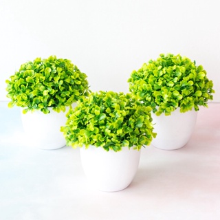 【AG】Artificial Plant Realistic Eco-friendly Plastic Heart Shape Leaf Simulation Bonsai for Home