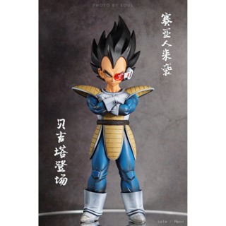 Dragon Ball Z Vegeta Debut EX Super Battle Earth 2 (the Warriors Guarding the Earth Ver.) โมเดลฟิกเกอร์ Dragon Ball Vegeta ขนาด 24 ซม.