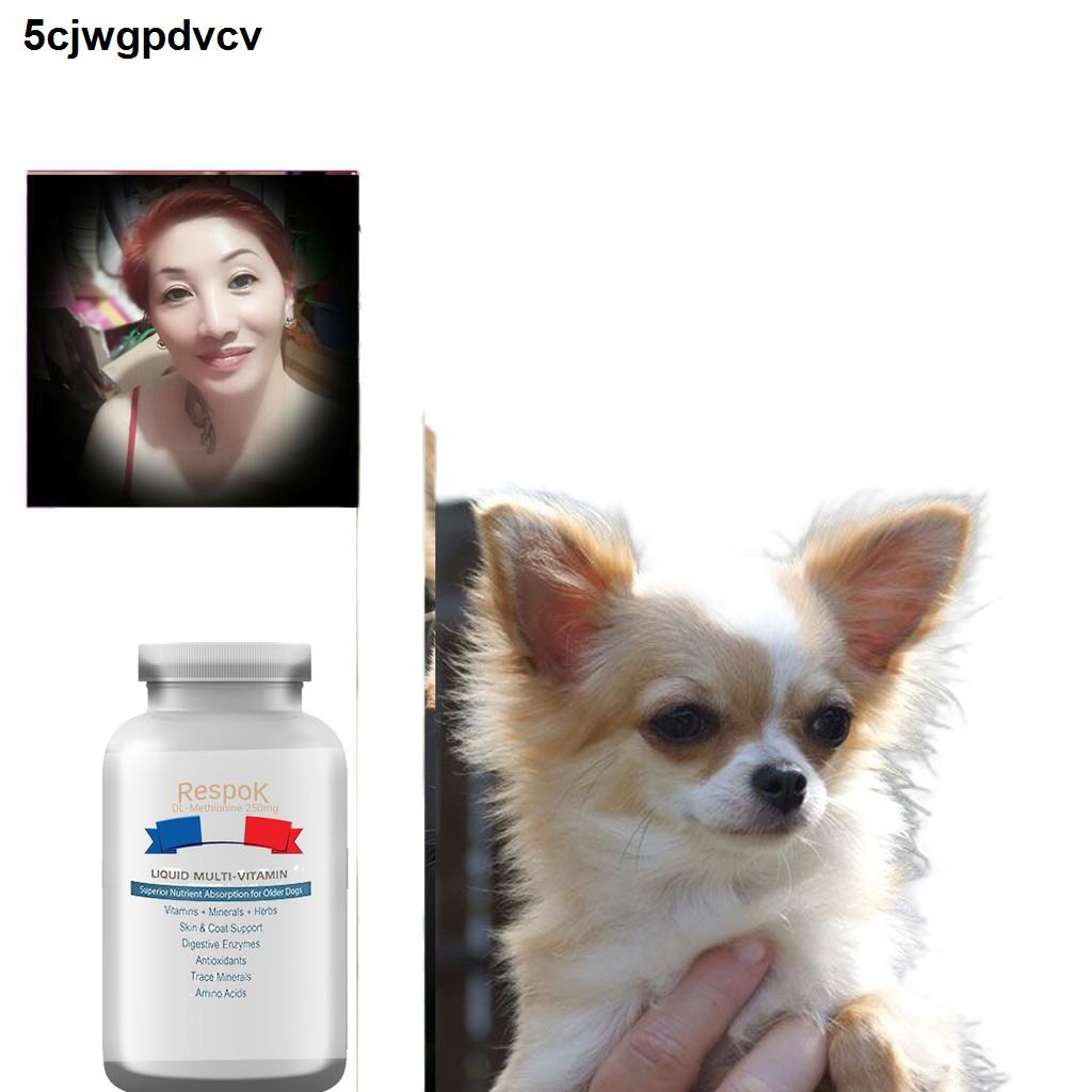 รายการ 91+ ภาพ เหตุ ใด สุนัข จึง หายใจ หอบ ใหม่ที่สุด