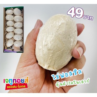 ไข่ฟอสซิลไดโนเสาร์ ไข่เซอร์ไพรส์ ไข่เซอร์ไพรส์ไดโนเสาร์ ไข่ของเล่น ไข่ฟอสซิล