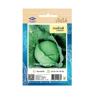 เมล็ดพันธุ์ ผักใบ ชุดที่ 3 เจียไต๋ (ซอง) ตราเครื่องบิน + Best Seller + เมล็ดผัก ผักสวนครัว ผักสลัด ผักไฮโดร